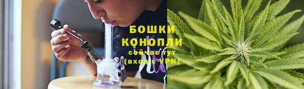 спиды Белокуриха