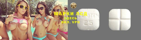 спиды Белокуриха