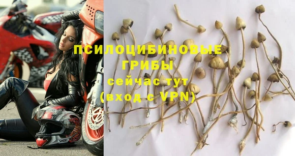 винт Белоозёрский